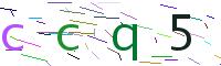 Verify Code